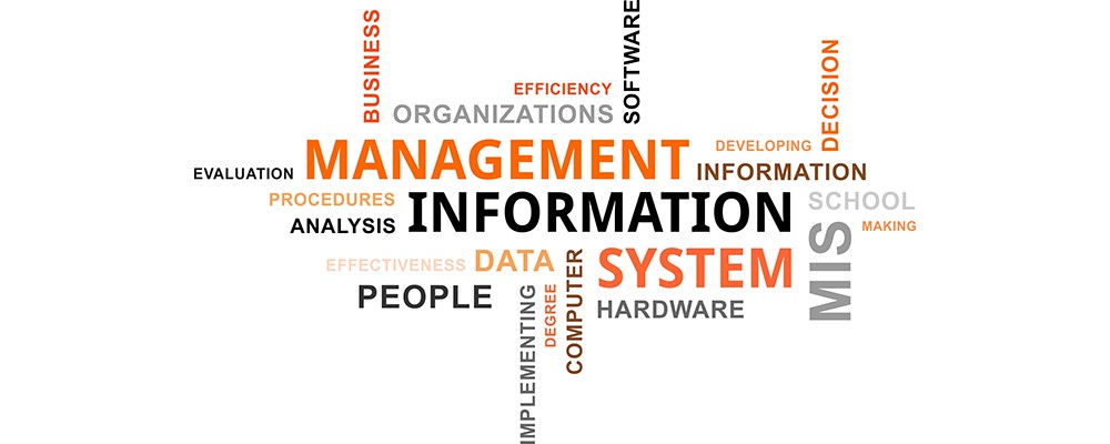 Ngành hệ thống thông tin quản lý là gì