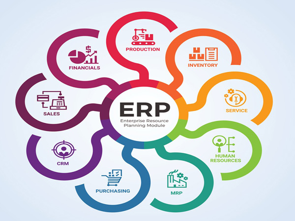 Một số phân hệ của ERP