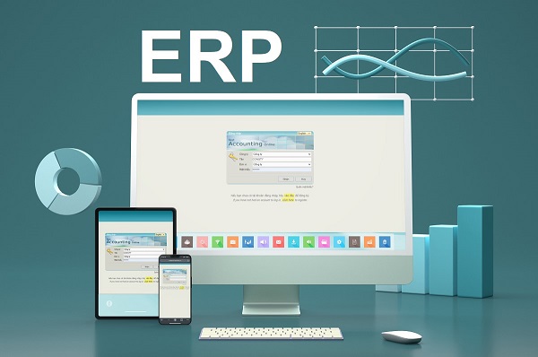 What is ERP business software?