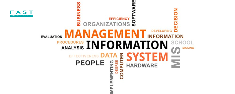 Hệ thống Thông tin quản lý (MIS)