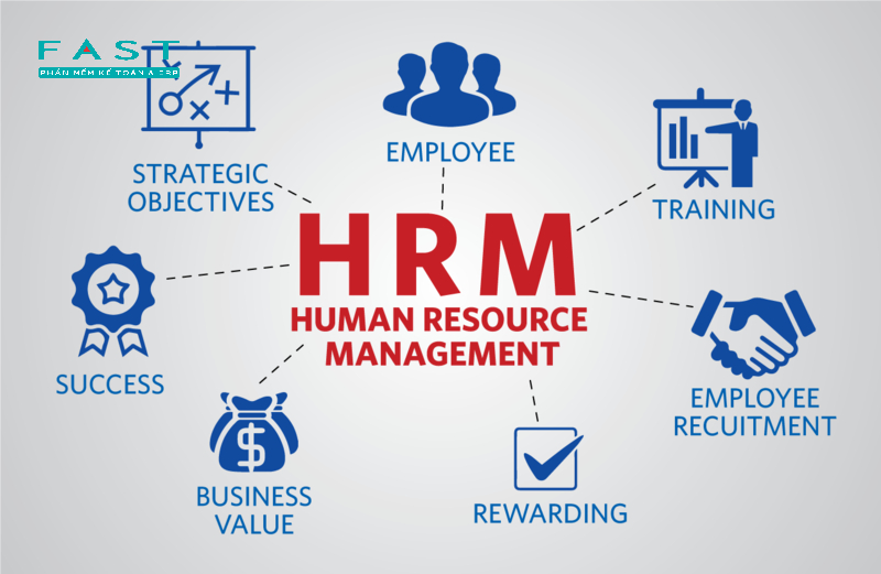 Hệ thống quản trị nguồn nhân lực (HRM) đóng vai trò then chốt trong sự thành công của tổ chức