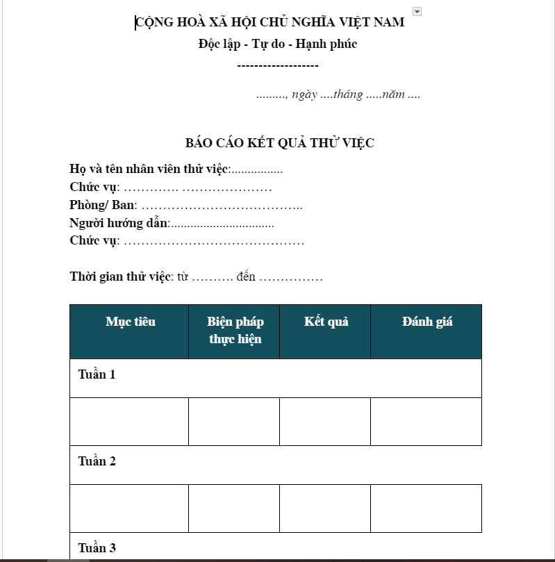 Mẫu báo cáo thử việc 