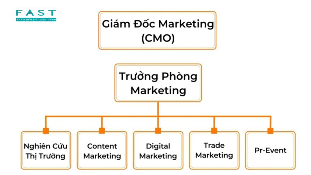 sơ đồ công ty
