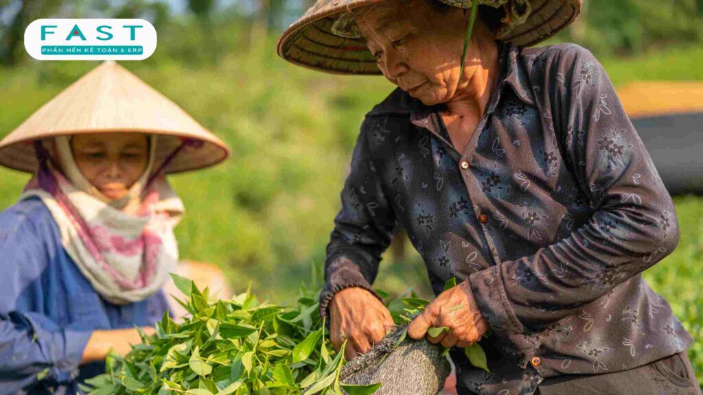 Những điểm mới trong Luật Hợp tác xã