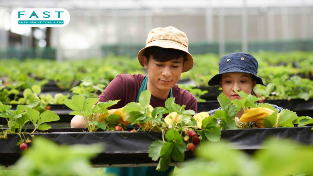 Phân loại hợp tác xã