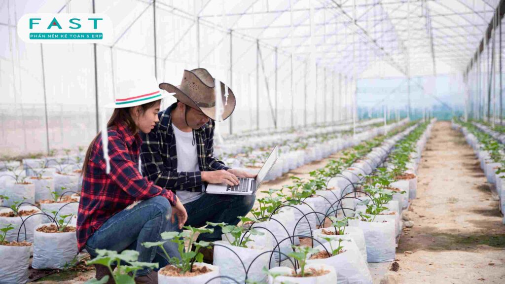 Quy định hợp tác xã
