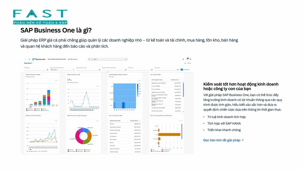 phần mềm SAP Business One