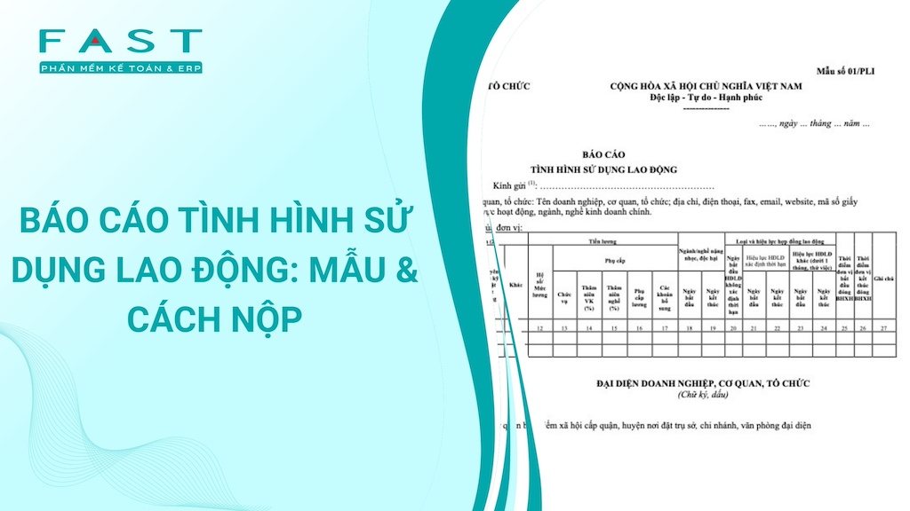 các báo cáo sử dụng lao động trong doanh nghiệp