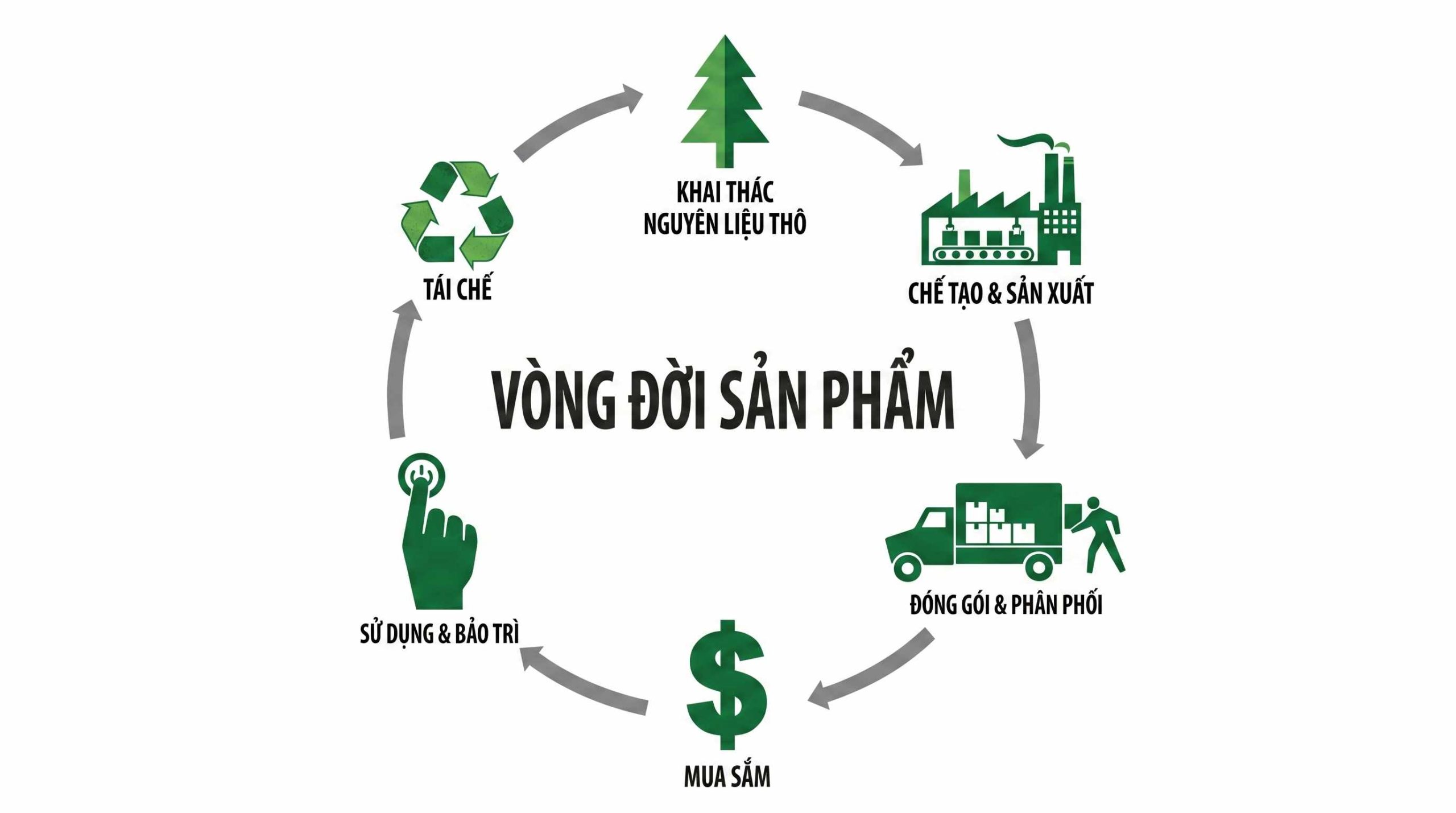 Quản lý vòng đời sản phẩm